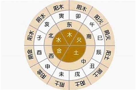 八字五行比例|八字五行比例多少最好